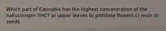 Which part of Cannabis has the highest concentration of the hallucinogen THC? a) upper leaves b) pistillate flowers c) resin d) seeds