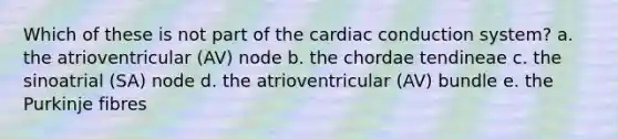 Which of these is not part of the cardiac conduction system? a. the atrioventricular (AV) node b. the chordae tendineae c. the sinoatrial (SA) node d. the atrioventricular (AV) bundle e. the Purkinje fibres