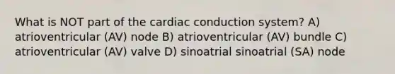 What is NOT part of the cardiac conduction system? A) atrioventricular (AV) node B) atrioventricular (AV) bundle C) atrioventricular (AV) valve D) sinoatrial sinoatrial (SA) node