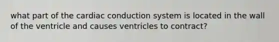 what part of the cardiac conduction system is located in the wall of the ventricle and causes ventricles to contract?