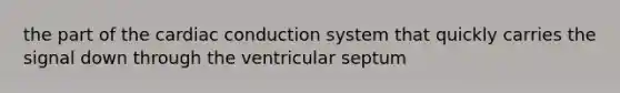 the part of the cardiac conduction system that quickly carries the signal down through the ventricular septum