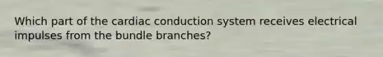 Which part of the cardiac conduction system receives electrical impulses from the bundle branches?