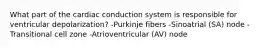 What part of the cardiac conduction system is responsible for ventricular depolarization? -Purkinje fibers -Sinoatrial (SA) node -Transitional cell zone -Atrioventricular (AV) node