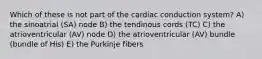 Which of these is not part of the cardiac conduction system? A) the sinoatrial (SA) node B) the tendinous cords (TC) C) the atrioventricular (AV) node D) the atrioventricular (AV) bundle (bundle of His) E) the Purkinje fibers