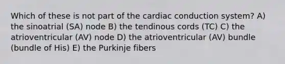 Which of these is not part of the cardiac conduction system? A) the sinoatrial (SA) node B) the tendinous cords (TC) C) the atrioventricular (AV) node D) the atrioventricular (AV) bundle (bundle of His) E) the Purkinje fibers