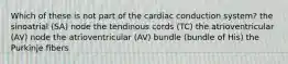 Which of these is not part of the cardiac conduction system? the sinoatrial (SA) node the tendinous cords (TC) the atrioventricular (AV) node the atrioventricular (AV) bundle (bundle of His) the Purkinje fibers