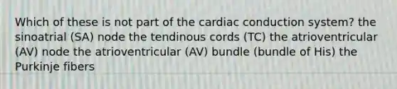 Which of these is not part of the cardiac conduction system? the sinoatrial (SA) node the tendinous cords (TC) the atrioventricular (AV) node the atrioventricular (AV) bundle (bundle of His) the Purkinje fibers