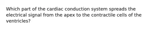 Which part of the cardiac conduction system spreads the electrical signal from the apex to the contractile cells of the ventricles?