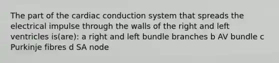 The part of the cardiac conduction system that spreads the electrical impulse through the walls of the right and left ventricles is(are): a right and left bundle branches b AV bundle c Purkinje fibres d SA node