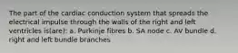 The part of the cardiac conduction system that spreads the electrical impulse through the walls of the right and left ventricles is(are): a. Purkinje fibres b. SA node c. AV bundle d. right and left bundle branches