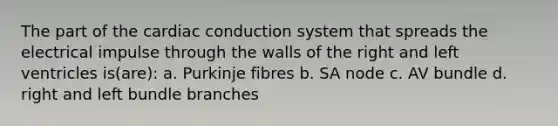 The part of the cardiac conduction system that spreads the electrical impulse through the walls of the right and left ventricles is(are): a. Purkinje fibres b. SA node c. AV bundle d. right and left bundle branches