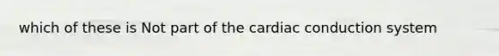 which of these is Not part of the cardiac conduction system