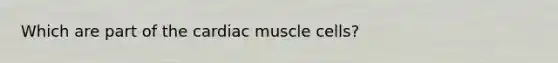 Which are part of the cardiac muscle cells?