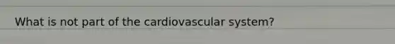 What is not part of the cardiovascular​ system?