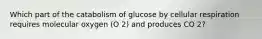 Which part of the catabolism of glucose by cellular respiration requires molecular oxygen (O 2) and produces CO 2?