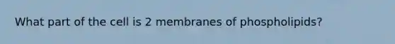 What part of the cell is 2 membranes of phospholipids?