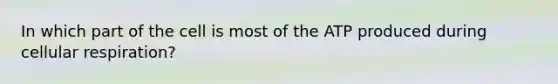 In which part of the cell is most of the ATP produced during cellular respiration?