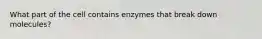 What part of the cell contains enzymes that break down molecules?