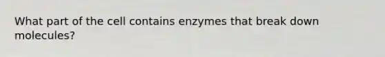 What part of the cell contains enzymes that break down molecules?