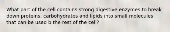 What part of the cell contains strong digestive enzymes to break down proteins, carbohydrates and lipids into small molecules that can be used b the rest of the cell?