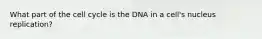 What part of the cell cycle is the DNA in a cell's nucleus replication?