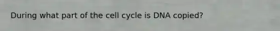 During what part of the cell cycle is DNA copied?