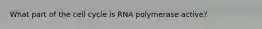 What part of the cell cycle is RNA polymerase active?