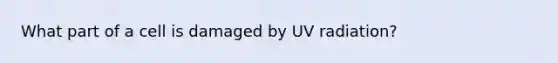 What part of a cell is damaged by UV radiation?