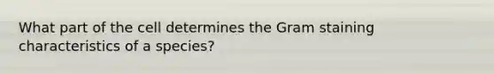 What part of the cell determines the Gram staining characteristics of a species?