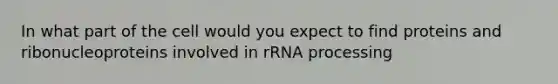 In what part of the cell would you expect to find proteins and ribonucleoproteins involved in rRNA processing