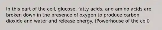 In this part of the cell, glucose, fatty acids, and <a href='https://www.questionai.com/knowledge/k9gb720LCl-amino-acids' class='anchor-knowledge'>amino acids</a> are broken down in the presence of oxygen to produce carbon dioxide and water and release energy. (Powerhouse of the cell)