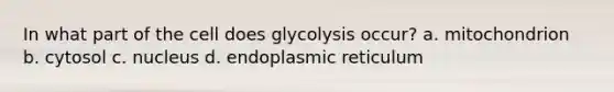 In what part of the cell does glycolysis occur? a. mitochondrion b. cytosol c. nucleus d. endoplasmic reticulum