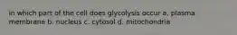 in which part of the cell does glycolysis occur a. plasma membrane b. nucleus c. cytosol d. mitochondria