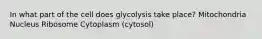 In what part of the cell does glycolysis take place? Mitochondria Nucleus Ribosome Cytoplasm (cytosol)