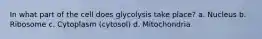 In what part of the cell does glycolysis take place? a. Nucleus b. Ribosome c. Cytoplasm (cytosol) d. Mitochondria