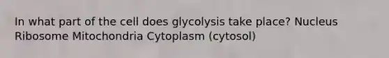 In what part of the cell does glycolysis take place? Nucleus Ribosome Mitochondria Cytoplasm (cytosol)