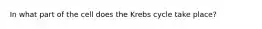 In what part of the cell does the Krebs cycle take place?