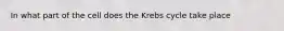 In what part of the cell does the Krebs cycle take place