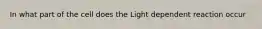 In what part of the cell does the Light dependent reaction occur