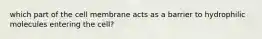 which part of the cell membrane acts as a barrier to hydrophilic molecules entering the cell?