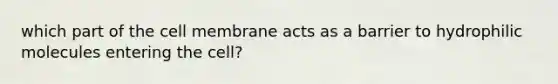 which part of the cell membrane acts as a barrier to hydrophilic molecules entering the cell?