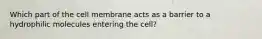 Which part of the cell membrane acts as a barrier to a hydrophilic molecules entering the cell?