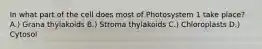 In what part of the cell does most of Photosystem 1 take place? A.) Grana thylakoids B.) Stroma thylakoids C.) Chloroplasts D.) Cytosol