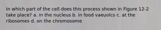 In which part of the cell does this process shown in Figure 12-2 take place? a. in the nucleus b. in food vaeuolcs c. at the ribosomes d. on the chromosome