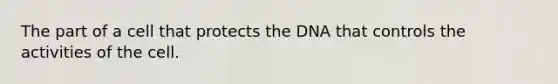 The part of a cell that protects the DNA that controls the activities of the cell.