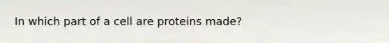 In which part of a cell are proteins made?