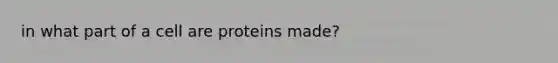 in what part of a cell are proteins made?