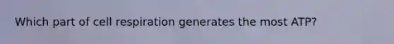 Which part of cell respiration generates the most ATP?