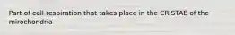 Part of cell respiration that takes place in the CRISTAE of the mirochondria