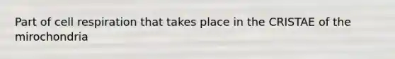 Part of cell respiration that takes place in the CRISTAE of the mirochondria